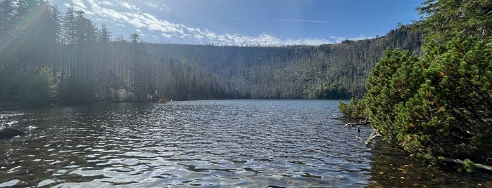 Černé jezero is one of Železná Ruda 2017.