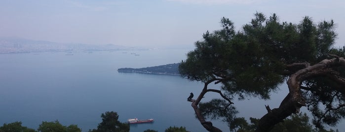 Yücetepe Kır Gazinosu is one of tufan’s Liked Places.