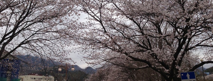 수안보온천랜드 is one of hyun jeong’s Liked Places.