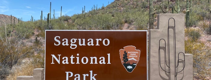 Saguaro National Park West is one of Western Region NPS sites.
