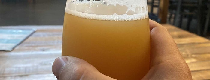Modist Brewing Co is one of New Minneapolis Breweries.