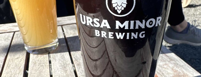 Ursa Minor Brewing is one of Duluth.