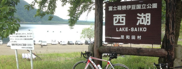 Lake Saiko is one of Family trip for summer vacation in 2016.