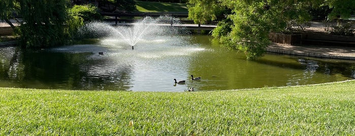 Duck Pond is one of freedom.