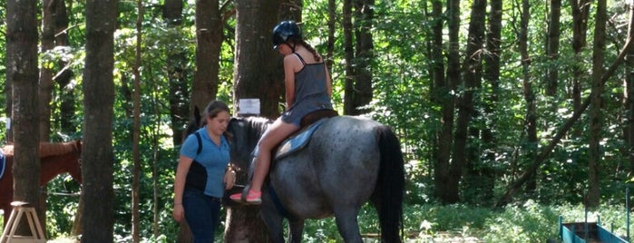 Attitash Horseback Rides is one of Tempat yang Disukai Christina.