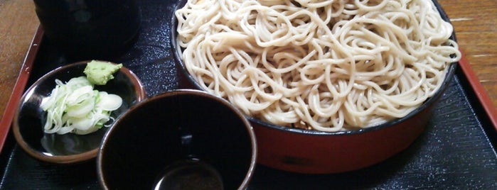 更科 is one of 飲食店(麺類).