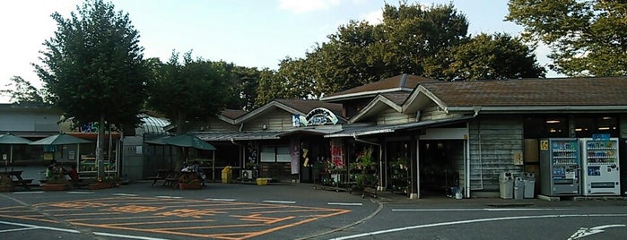 Michi no Eki Katsura is one of 道の駅.