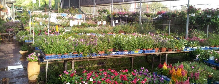 בית ירוק משתלת הסוכה is one of Planters all over Israel.