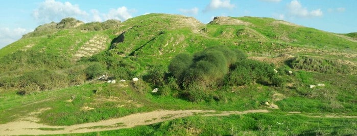 Scenery at the southern part of Israel