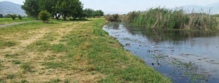 Agamon Hula is one of Best picnic spots in Israel.