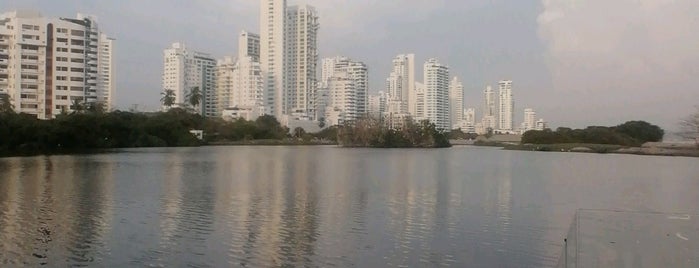 Intriga Tropical is one of Cartagena.