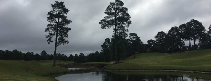 Pinehurst No. 4 Golf Course is one of สถานที่ที่ Allan ถูกใจ.