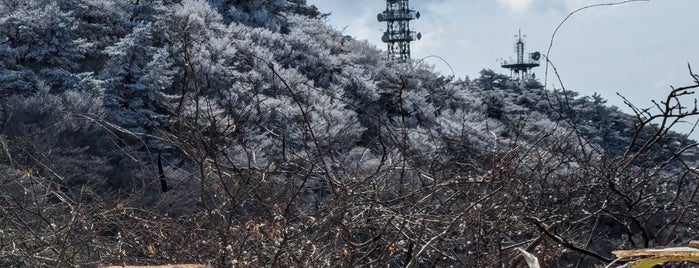 Top of Mt. Rokko is one of 関西旅行.