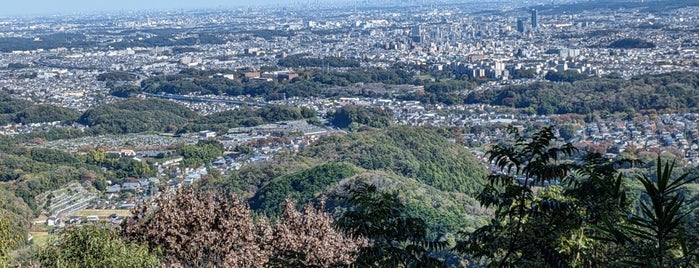 Hachioji Castle Ruins is one of 100 "MUST-GO" castles of Japan 日本100名城.