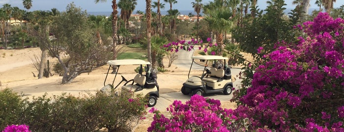 Cabo Real Golf Club is one of Golf Courses I've Played.