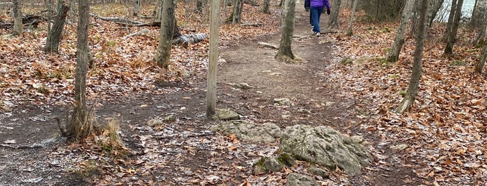 Cave Point County Park is one of wisco.