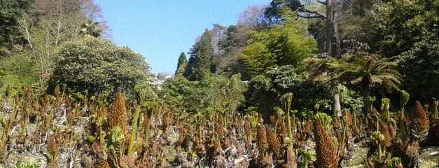 Trebah Gardens is one of Carlさんのお気に入りスポット.
