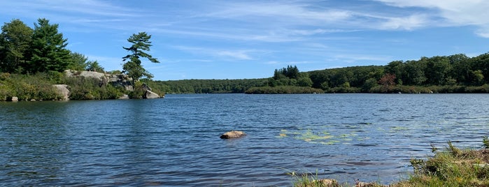 Pine Meadow Lake is one of Locais curtidos por Doug.