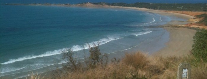 Anglesea Beach is one of Darrenさんのお気に入りスポット.