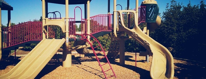 Douglas Ranch Park is one of fun places.