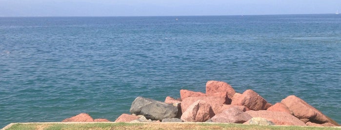 Playa Vamar is one of สถานที่ที่ Monserrat ถูกใจ.