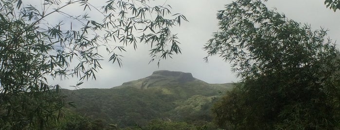 Soufrière is one of alcor.