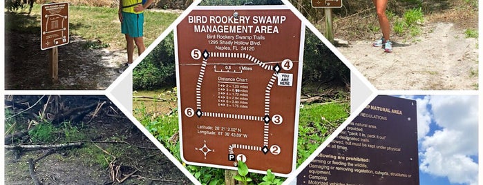 Bird Rookery Swamp is one of Lugares favoritos de Sarah.