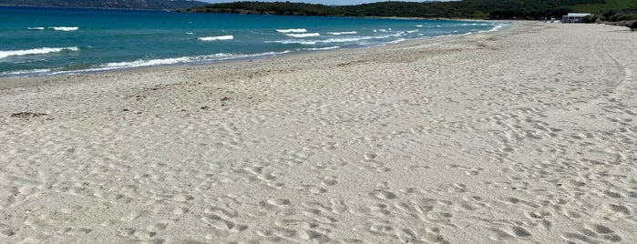 Spiaggia de Pittulongu is one of Sardinia 2013.