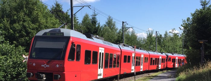 SZU Uitikon Waldegg is one of S10 Uetlibergbahn.