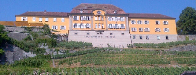 Staatsweingut Meersburg is one of Lieux qui ont plu à Sehnaz.
