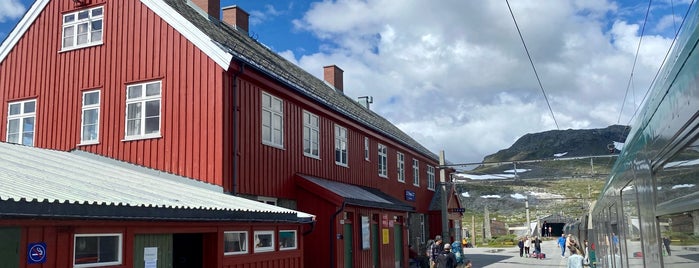 Finse stasjon is one of Noorwegen 2013.