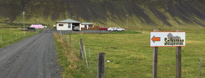 Sólhestar is one of Iceland -FOREVER-.