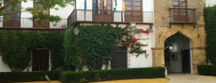 Casa Palacio de los Briones is one of Casas Rurales.