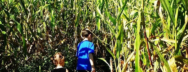 Sweetfields Farm (Corn Maze) is one of Locais salvos de Kimmie.