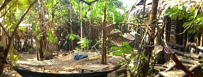 Bamboo Nest is one of accommodation.