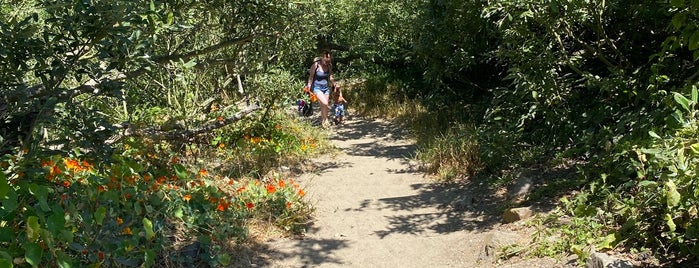 Baker Beach is one of San Francisco 2023 - Activities.