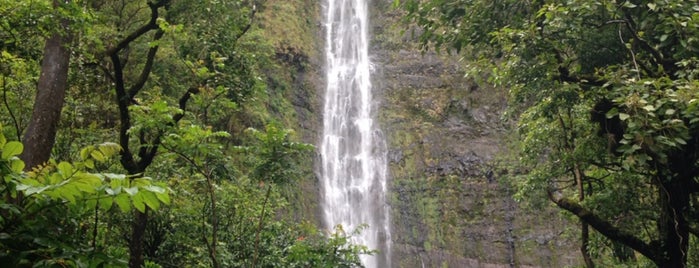 Waimoku Falls is one of USA Bucket List.