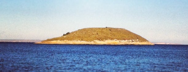 Mallorca Beach is one of Orte, die Bogdan gefallen.