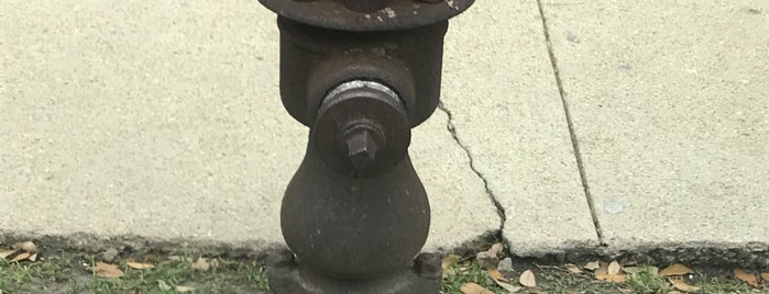 Oldest Fire Hydrant is one of GALVESTON 2023.