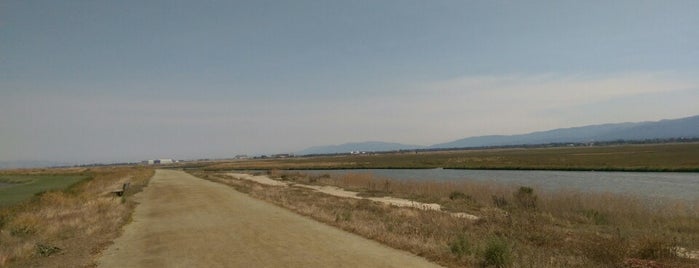 San Francisco Bay Trail is one of สถานที่ที่ Mona ถูกใจ.