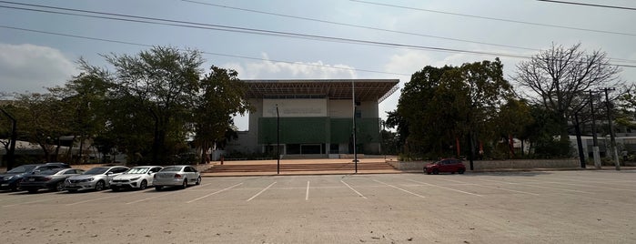 Museo Regional de Antropología Carlos Pellicer Camara is one of สถานที่ที่ Joaquin ถูกใจ.