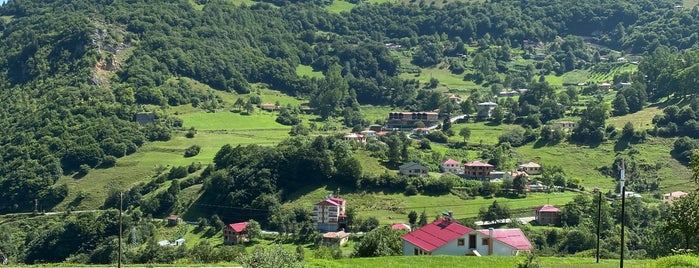 Hamsiköylü Ahmet Usta is one of Tempat yang Disimpan Ceyhun.