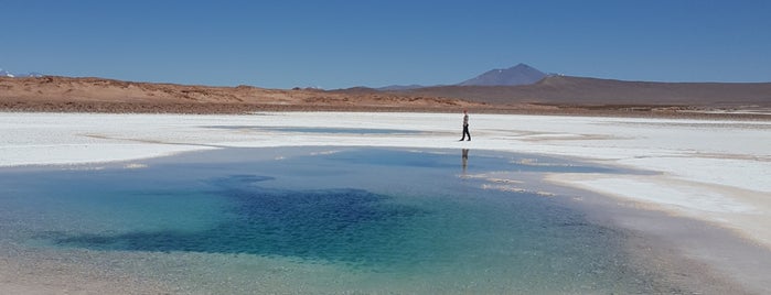 Tolar Grande is one of Salta.