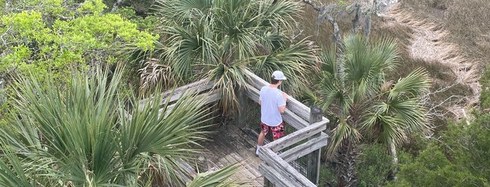 Palmetto Islands County Park is one of Charleston Musts.