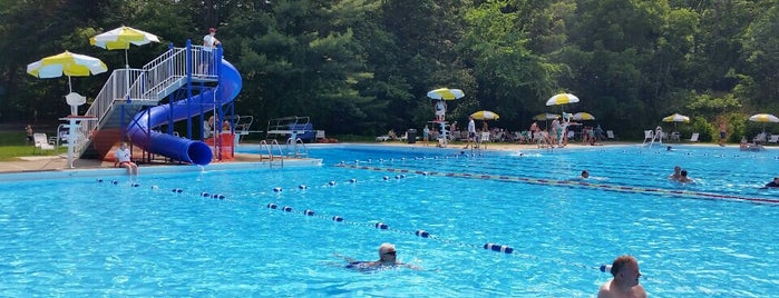 Park Ridge Municipal Pool is one of NJ Swims.