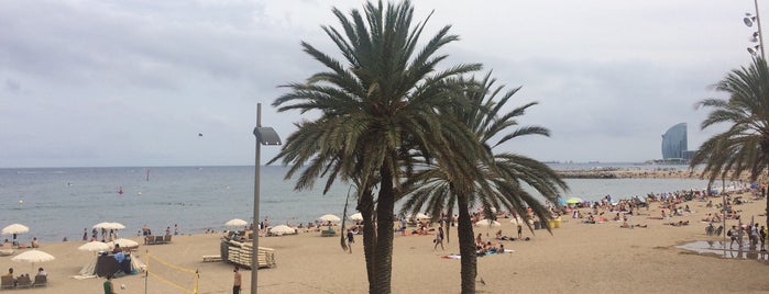 Praia da Barceloneta is one of Locais curtidos por Erkan.