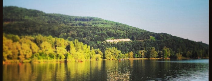 Pleschinger See is one of Orte, die Maxi gefallen.