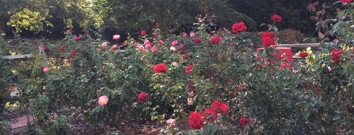 Gene Strowd Community Rose Garden is one of Brandon'un Beğendiği Mekanlar.