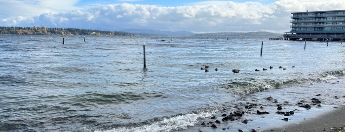 Madison Park Beach is one of Seattle’s Swimming Holes.