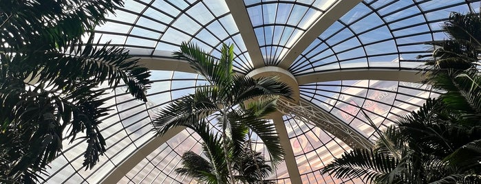 The Mirage Atrium is one of Things to Do in Vegas.